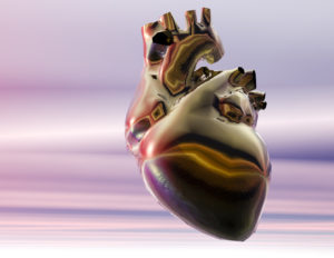 Digital visualization of a human heart